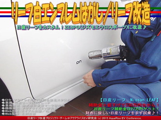 リーフ白エンブレムはがし(2)/リーフ改造05