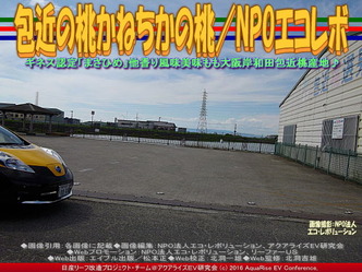 包近の桃／リーフ改造NPOエコレボ04