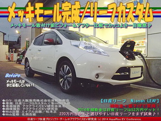 メッキモール完成/リーフカスタム02