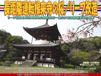 長距離運転根来寺の桜(2)/リーフ改造02 長距離運転根来寺の桜(2)/リーフ改造02