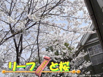 リーフと桜＠日産リーフ改造5