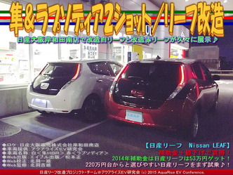 隼＆ラプソディア２ショット／リーフ改造03