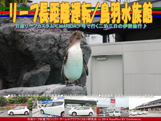 リーフ長距離運転／鳥羽水族館(2)＠リーフ改造09