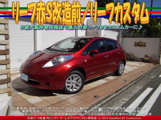 リーフ赤S改造前/リーフカスタム03