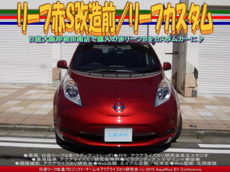 リーフ赤Ｓ改造前(2)／リーフカスタム02
