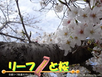 リーフと桜＠日産リーフ改造6