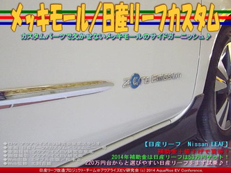 メッキモール(2)／日産リーフカスタム03