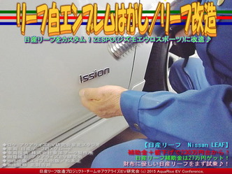 リーフ白エンブレムはがし(2)/リーフ改造04