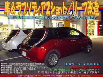 隼＆ラプソディア２ショット／リーフ改造05