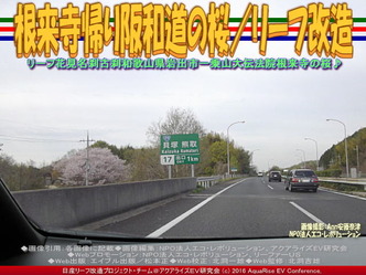 根来寺帰り阪和道の桜/リーフ改造03 根来寺帰り阪和道の桜/リーフ改造03