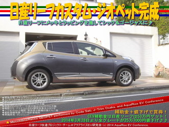 日産リーフカスタム・ジオペット完成＠日産リーフ改造10