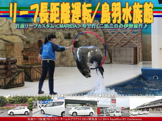 リーフ長距離運転／鳥羽水族館(2)＠リーフ改造07