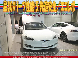 黒30Xリーフ性能(5)ASV／NPOエコレボ画像03