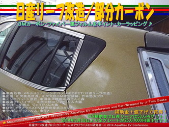 日産リーフ改造/部分カーボン@アクアライズEV研究会05