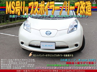 ＭＳ号リップスポイラー／リーフ改造01