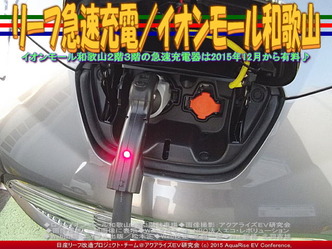 リーフ急速充電(3)／イオンモール和歌山03
