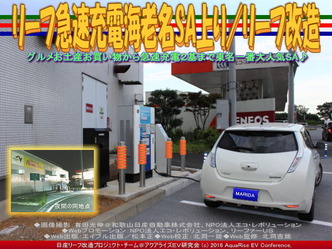 リーフ急速充電海老名SA上り/リーフ改造04 リーフ急速充電海老名SA上り/リーフ改造04
