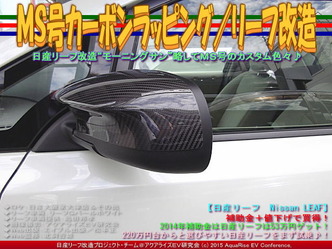 ＭＳ号カーボンラッピング／リーフ改造03