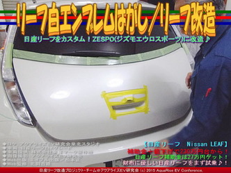 リーフ白エンブレムはがし(3)/リーフ改造02