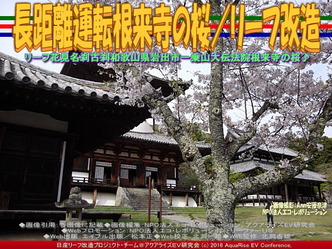 長距離運転根来寺の桜/リーフ改造04 長距離運転根来寺の桜/リーフ改造04