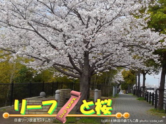 リーフと桜＠日産リーフ改造11