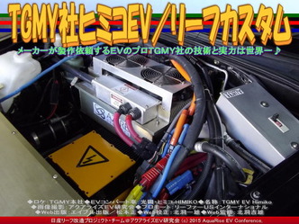 TGMY社ヒミコEV／リーフカスタム02