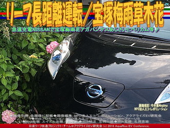 リーフ長距離運転/宝塚梅雨の花03 リーフ長距離運転/宝塚梅雨の花03