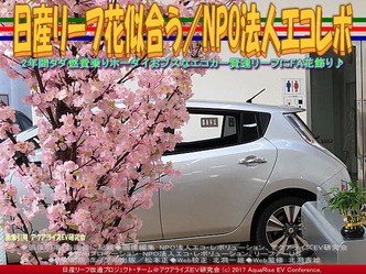 日産リーフ花似合う(5)/NPOエコレボ画像02 日産リーフ花似合う(5)/NPOエコレボ画像02