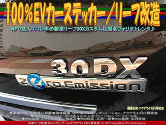 100%EVカーステッカー/リーフ改造画像02 100%EVカーステッカー/リーフ改造画像02
