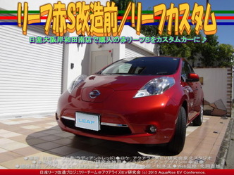 リーフ赤Ｓ改造前(2)／リーフカスタム01