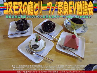 コスモスの庭とリーフ(3)／奈良ＥＶ勉強会05