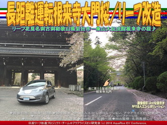 長距離運転根来寺大門桜／リーフ改造01