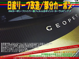 日産リーフ改造/部分カーボン@アクアライズEV研究会10