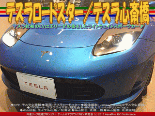 日産リーフ改造 アクアライズev研究会 テスラ心斎橋 日産リーフ改造 アクアライズev研究会 テスラ心斎橋