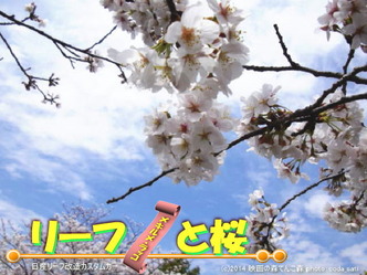 リーフと桜＠日産リーフ改造2