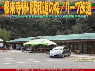 根来寺帰り阪和道の桜/リーフ改造01 根来寺帰り阪和道の桜/リーフ改造01