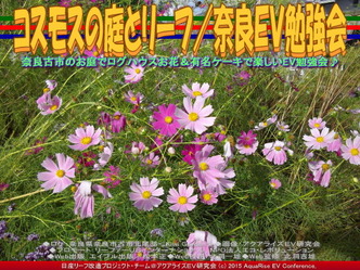 コスモスの庭とリーフ(2)／奈良ＥＶ勉強会05