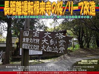 長距離運転根来寺の桜(2)/リーフ改造01 長距離運転根来寺の桜(2)/リーフ改造01