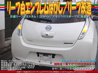 リーフ白エンブレムはがし/リーフ改造01