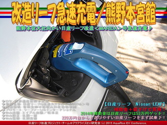 改造リーフ急速充電／熊野本宮館04
