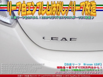 リーフ白エンブレムはがし/リーフ改造03