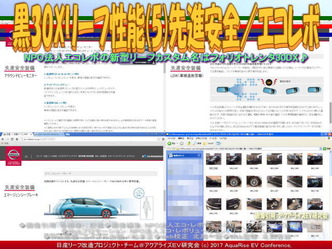 黒30Xリーフ性能(5)ASV／NPOエコレボ画像01
