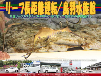 リーフ長距離運転／鳥羽水族館＠リーフ改造05