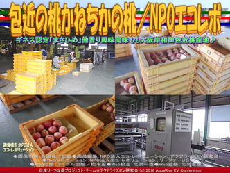 かねちか桃／NPOエコレボリーフ改造02