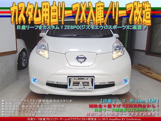 カスタム用白リーフＸ入庫／リーフ改造02