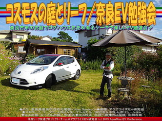 コスモスの庭とリーフ(3)／奈良ＥＶ勉強会01