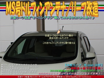 ＭＳ号ドルフィンアンテナ／リーフ改造01