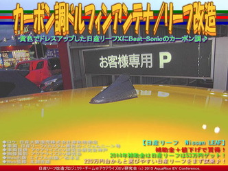 カーボン調ドルフィンアンテナ/リーフ改造01