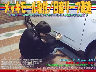 メッキモール(2)/日産リーフカスタム01