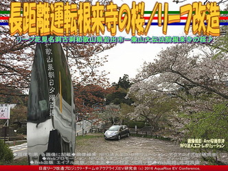 長距離運転根来寺の桜(3)／リーフ改造01